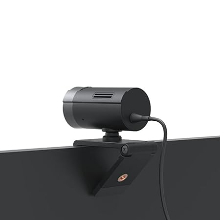 HP w100 480P 30 FPS Digital Webcam with Built-in Mic, Plug and Play Setup, Wide-Angle View for Video Calling on Skype, Zoom, Microsoft Teams and Other Apps (Black)