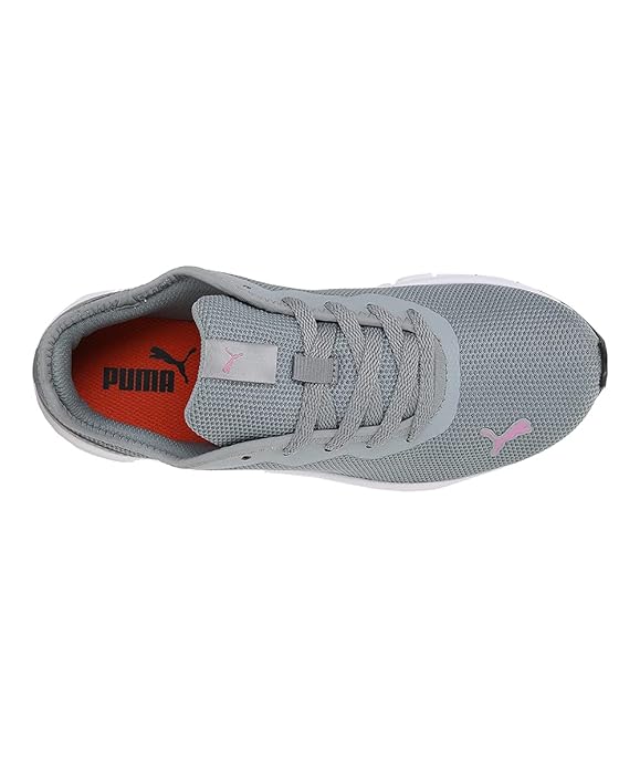 Puma Women Hustle V2 WNS IDP Sneaker (Quarry-Opera Mauve , 4 )
