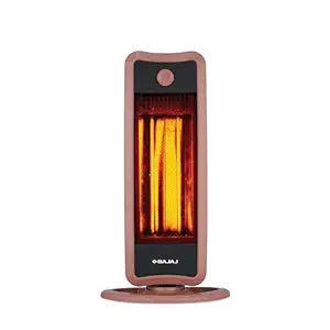 Bajaj RHT2C Room Heater 900 Watts | 2 Heat Settings (450W / 900W) | Dura Elements