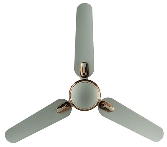 BAJAJ ESTEEM 1200 MM BIANCO RUST CF CEILING FAN
