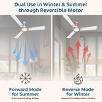 Polycab Zoomer Prime 1200mm 5-Star BLDC, Remote Ceiling fan for home | 100% Copper, High Air Delivery, 6 Speed Setting, Sleep Mode, Reverse Rotation, Boost Technology | 3 Years Warranty【Silky White】
