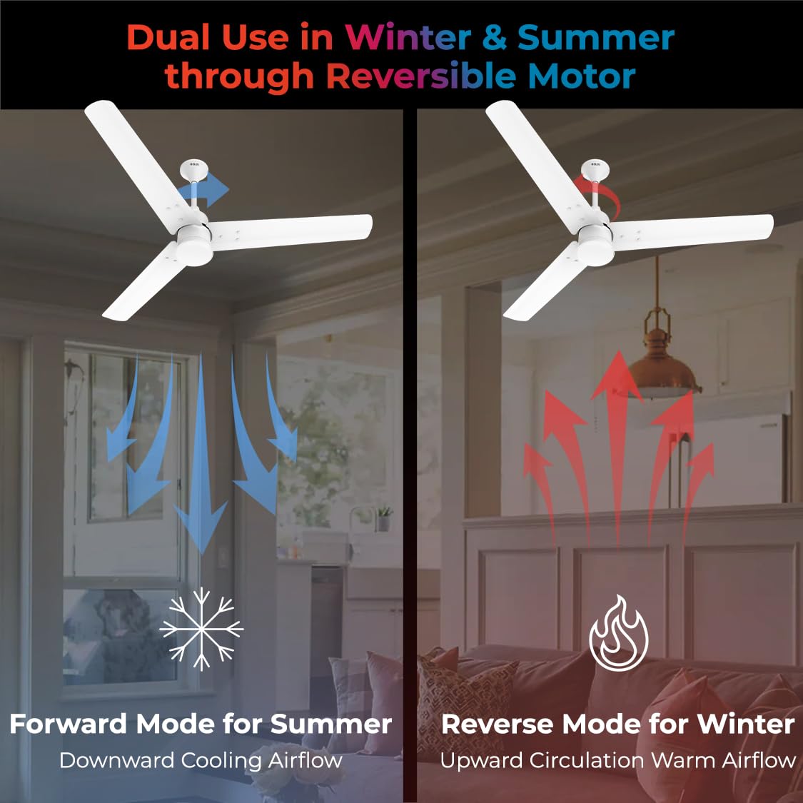 Polycab Silencio Mini 1200mm 5-Star BLDC, Remote Ceiling fan for home | 55% Energy Saving, 100% Copper, High Speed, 25 Speed Setting, Reversable & Timer | 4-yr Warranty【Matt White】