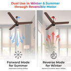 Polycab Silencio Mini 1200mm 5-Star BLDC,Remote Ceiling fan for home|55% Energy Saving, 100% Copper, High Speed, 25 Speed Setting, Reversable & Timer | 4-yr Warranty【Espresso Brown】