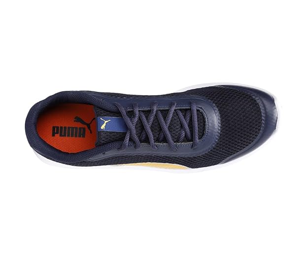 Puma mens FST Runner v2 Dark Shadow-Puma Silver-Quarry Running Shoe - 9 UK