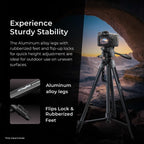 DIGITEK (DTR 550 LW) 67 Inch Foldable Tripod Stand with Phone Holder & 360° Ball Head, 5kg Load Capacity, Aluminum Alloy Legs with Rubberized Feet & Flip Locks, Carry Bag, for Photo & Video Shoots
