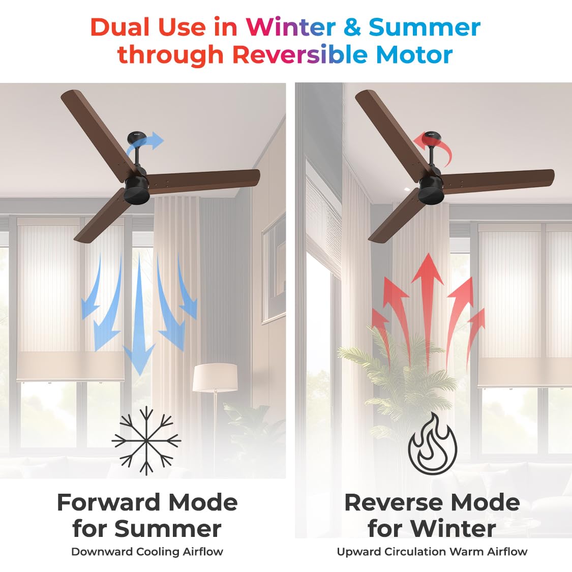 Polycab Silencio Mini 1200mm 5-Star BLDC, Remote Ceiling fan for home| 55% Energy Saving, 100% Copper, High Speed, 25 Speed Setting, Reversable & Timer | 4-yr Warranty【Pearl Brown】