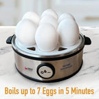 EB-2010 Premium Egg Boiler | 7-Egg Capacity, Auto Shut-Off  360 Watts Wattag