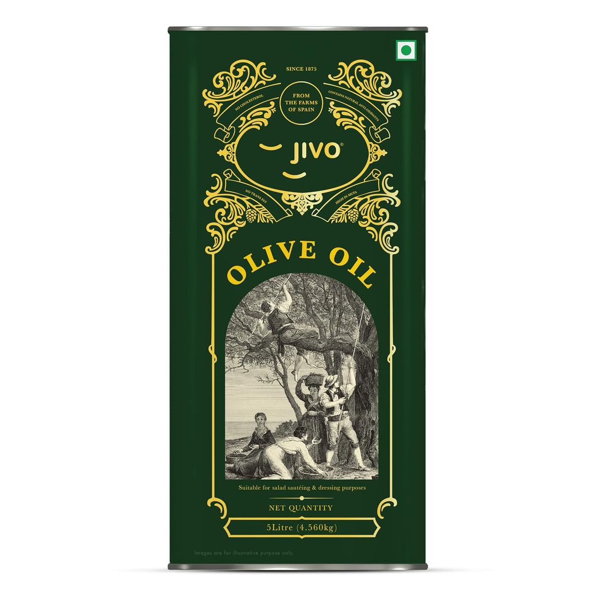 Jivo Extra Virgin Olive Oil 5 Litre | Imported from Spain | High in MUFA | Contain Vitamin E | Cholesterol-Free Oil | Ideal for Salads, Dressings, Soups, Dips & Marinades