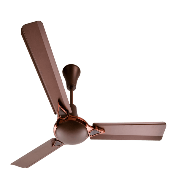 Halonix 1200MM Bloom Decorative Ceiling Fan